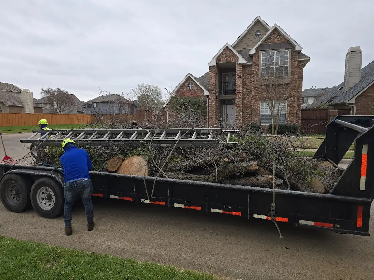 Expert Tree Fertilization with proper safety equipment in West Dover